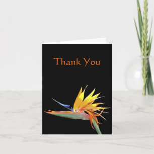 Bird of Paradise Thank You Note