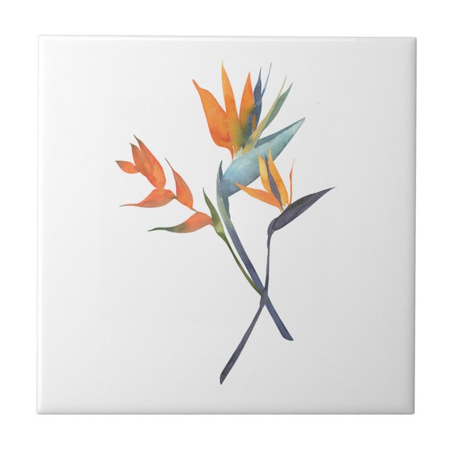 Bird of Paradise Tropical Ceramic Tile (Front)