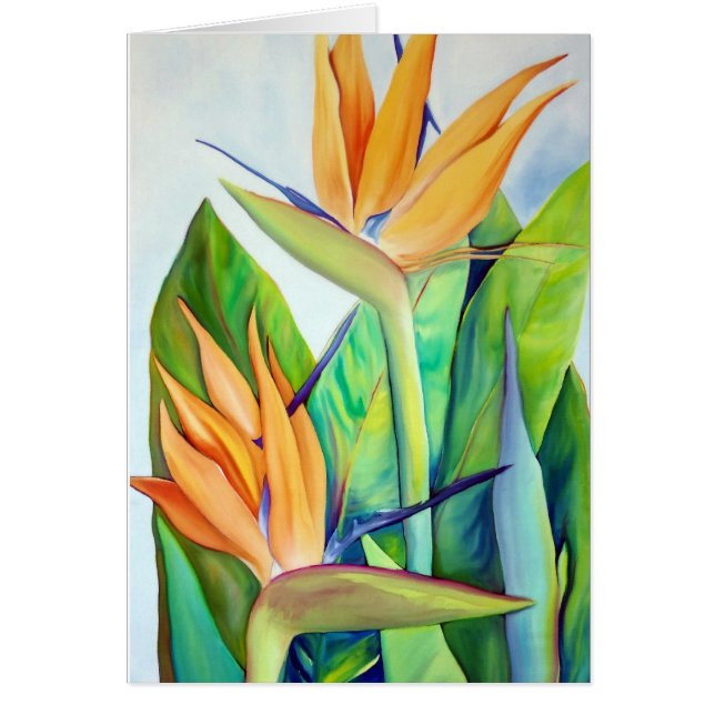 Bird of Paradise, Tropical flower, (Front)