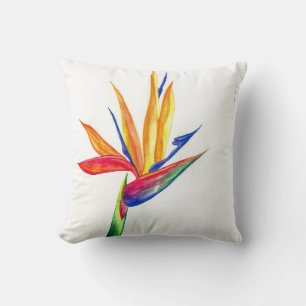 Bird of Paradise water colour drawing Cushion