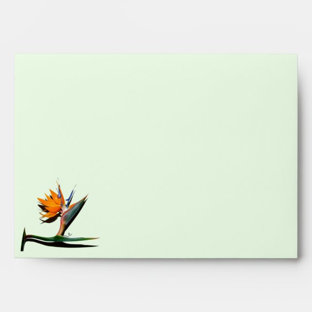 Bird of Paradise with Shadow Envelope (Front)