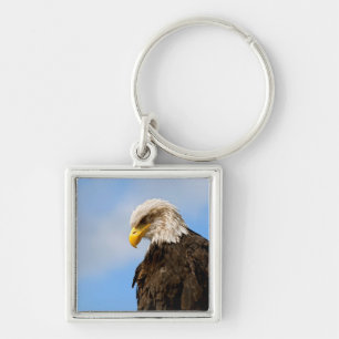 Bird of Pray Bald Eagle Key Ring