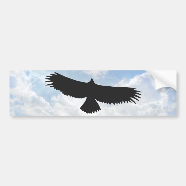 Bird of Prey 01 - Bumper Sticker (Front)