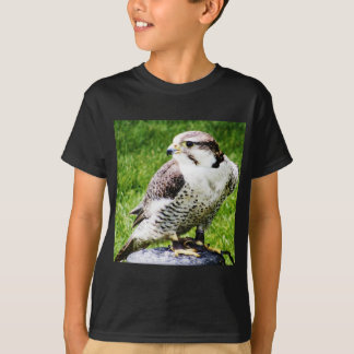 Bird of Prey #1-peregine falcon T-Shirt