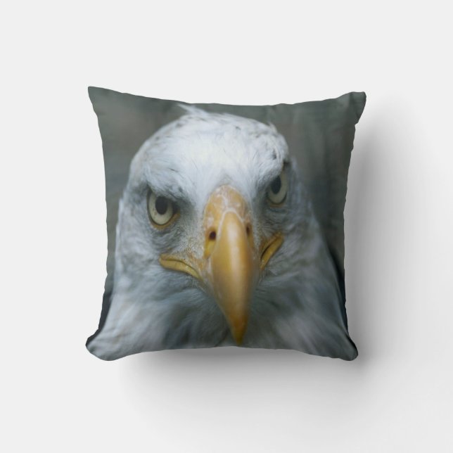 Bird of Prey #21-Bald Eagle Cushion (Front)