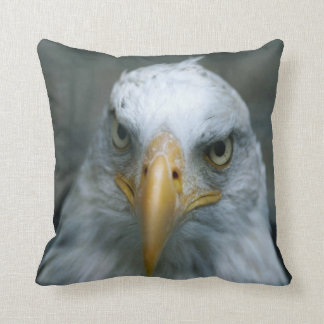 Bird of Prey #21-Bald Eagle Cushion