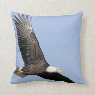 Bird of Prey #22- bald eagle Cushion