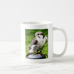 Bird of Prey #2- Peregrine Falcon Coffee Mug