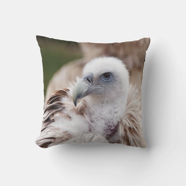 Bird of Prey #7-Vulture Cushion (Front)