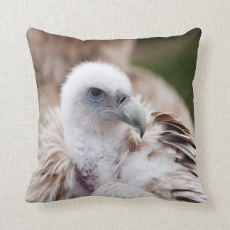 Bird of Prey #7-Vulture Cushion