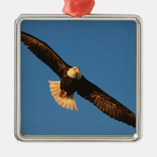 Bird of Prey, Bald Eagle in flight, Kachemak Metal Ornament