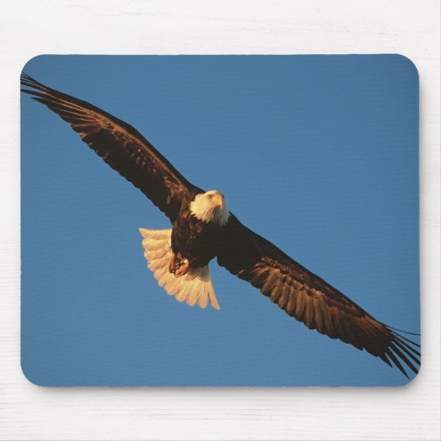 Bird of Prey, Bald Eagle in flight, Kachemak Mouse Pad (Front)