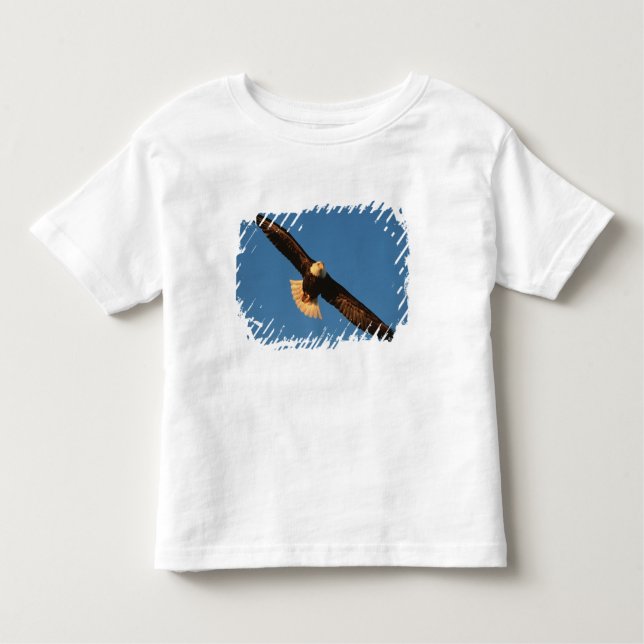Bird of Prey, Bald Eagle in flight, Kachemak Toddler T-Shirt (Front)