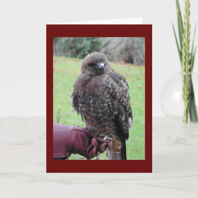 Bird of Prey Card (Front)