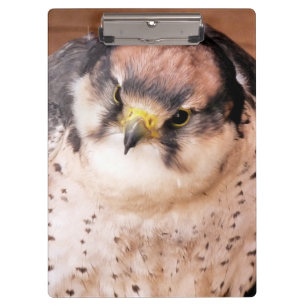 BIRD OF PREY CLIPBOARD