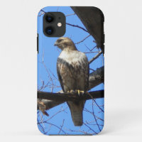 Bird Of Prey iPhone 5 case