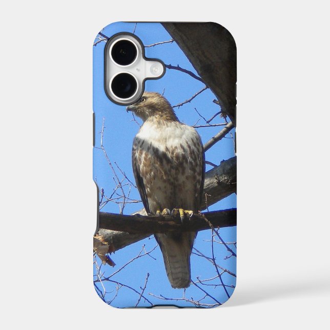 Bird Of Prey iPhone 5 case (Back)