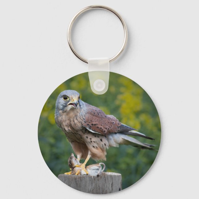 Bird of Prey Keychain/Keyring Key Ring (Front)