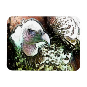 BIRD OF PREY VULTURE MAGNET
