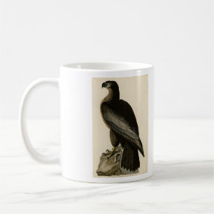 Bird of Washington from Audubon's Birds of America Coffee Mug