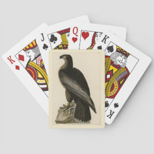 Bird of Washington from Audubon's Birds of America Playing Cards