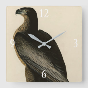 Bird of Washington from Audubon's Birds of America Square Wall Clock