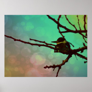 Bird On A Branch -Aqua N Pink Poster