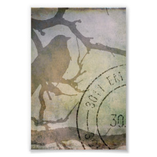 Bird On A Branch Photo Print