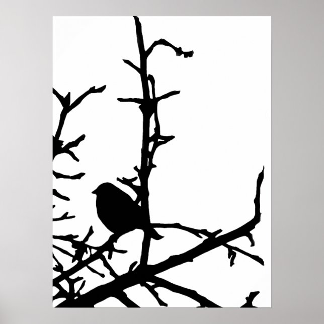 Bird on a Branch Poster (Front)