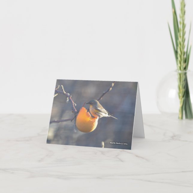 Bird on a Half-Eaten Apple Card (Front)