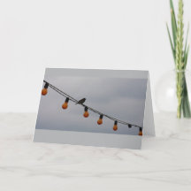 Bird on a Wire - Photo Art