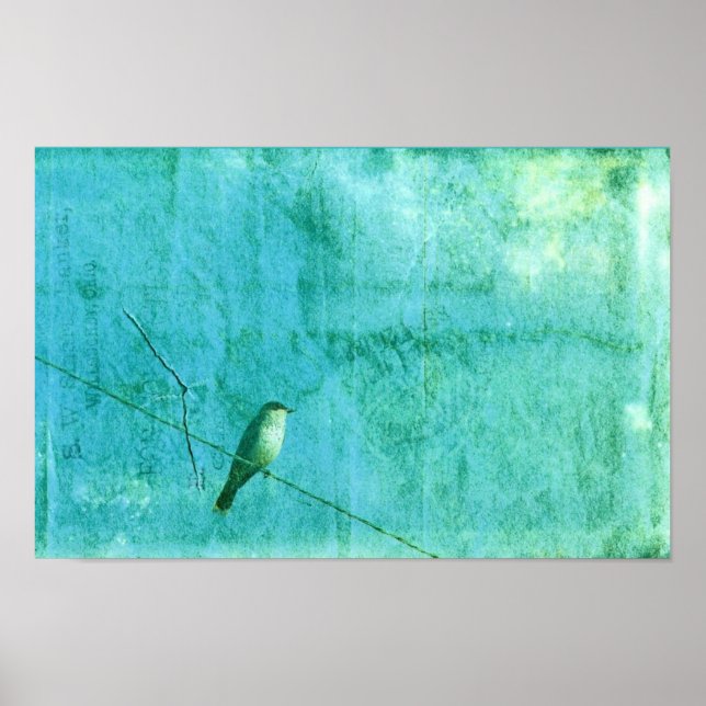 Bird on a Wire Poster (Front)