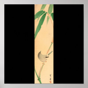 Bird on Bamboo tree by Seitei Watanabe 1851- 1918 Poster