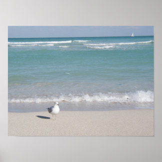 Bird on beach poster