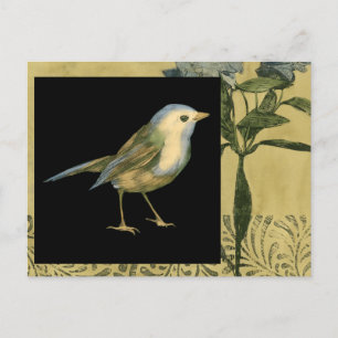 Bird on Black and Vintage Background Postcard