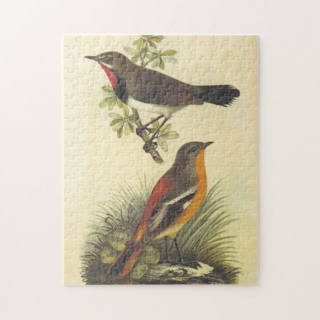 Bird on Branch, Bird on Ground Puzzle (Vertical)