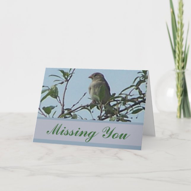 Bird On Branch Card (Front)
