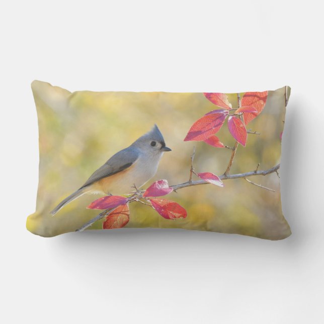 Bird on Branch Lumbar Throw Pillow (Front)