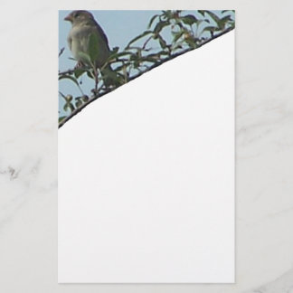 Bird On Branch Stationery