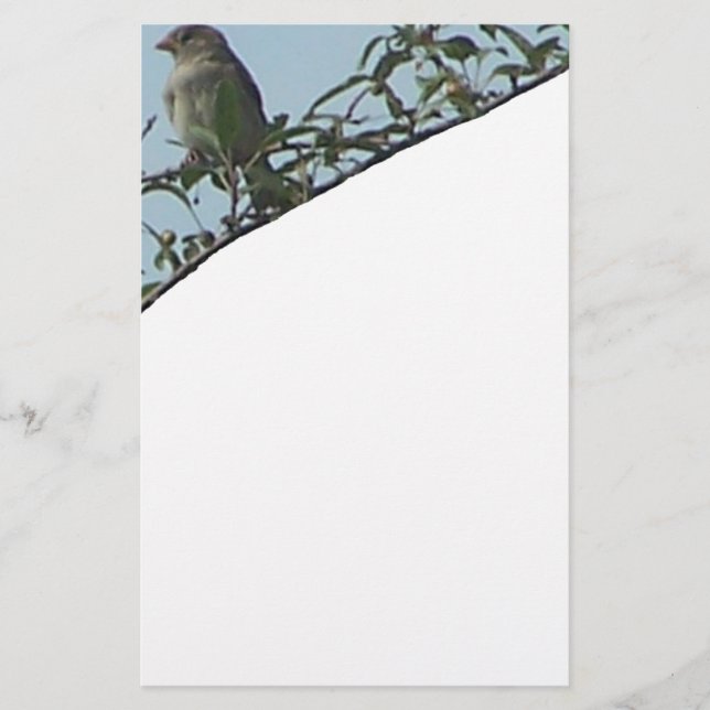 Bird On Branch Stationery (Front)