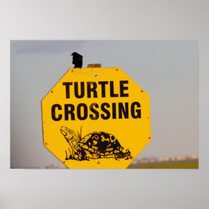 Bird on Turtle Crossing Sign Poster