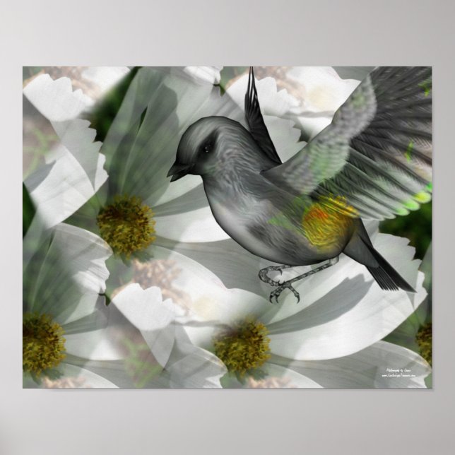 Bird On White Cosmos Fantasy Art  Poster (Front)