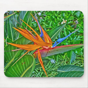 Bird Paradise mousepad