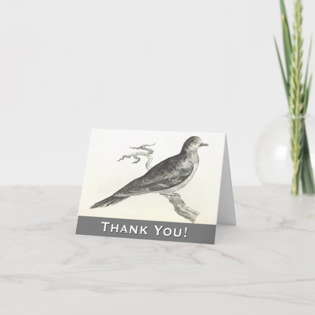 Bird Perched on a Branch Thank You Greeting Card (Front)