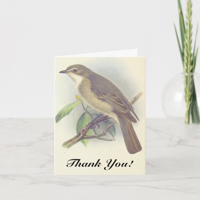 Bird Perched on a Tree Branch, "Thank You!" Card (Front)