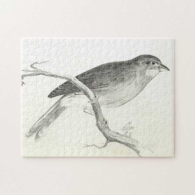 Bird Perching on a Branch Puzzle (Horizontal)