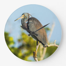 Bird Perfect Acrylic Wall Clock, Round (Large)