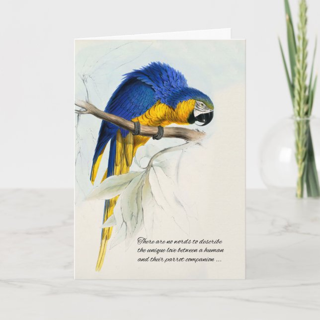 Bird Pet Sympathy Blue and Gold Macaw Parrot Card (Front)
