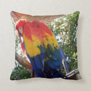 Bird Photo #16-Scarlet Macaw Cushion