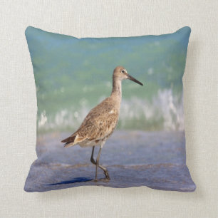 bird photo #18-shore bird cushion